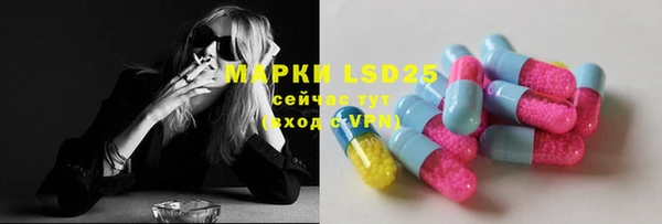 PSILOCYBIN Алексеевка
