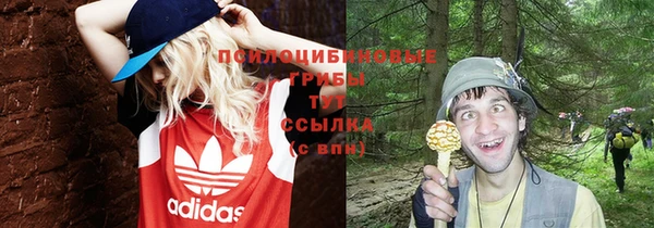 PSILOCYBIN Алексеевка