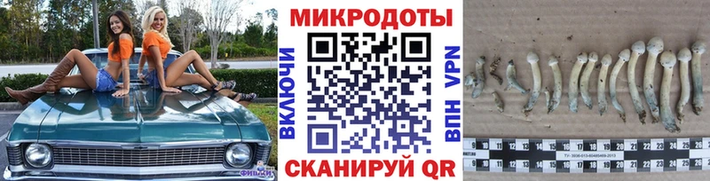 Псилоцибиновые грибы GOLDEN TEACHER Купить где Волоколамск