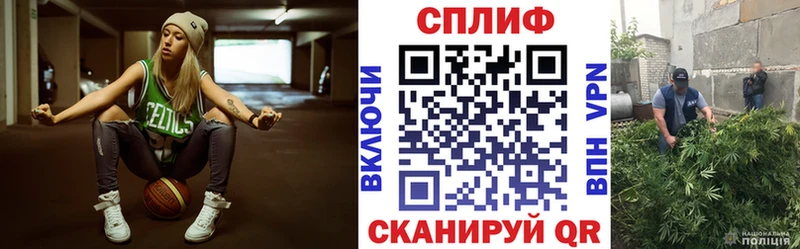 Купить где Волоколамск Бошки Шишки план